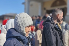 8709af28-0cff-4f2e-9479-c6340ff43987