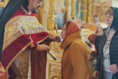 96cbb901-fb68-45d8-a0f1-cad129097e01