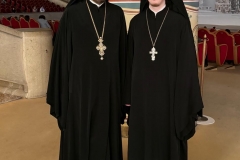 8f7b5384-f733-4e91-8094-6de5a1396ed2