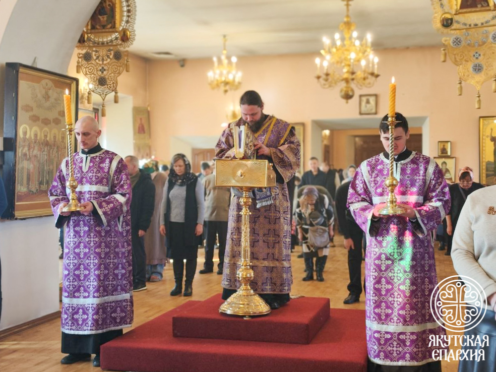 photo_2026-03-29_12-53-18 (3)