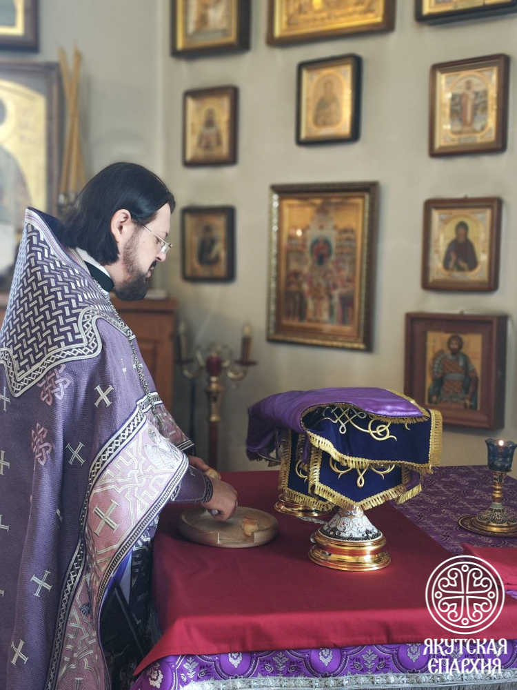 photo_2026-03-29_12-53-18