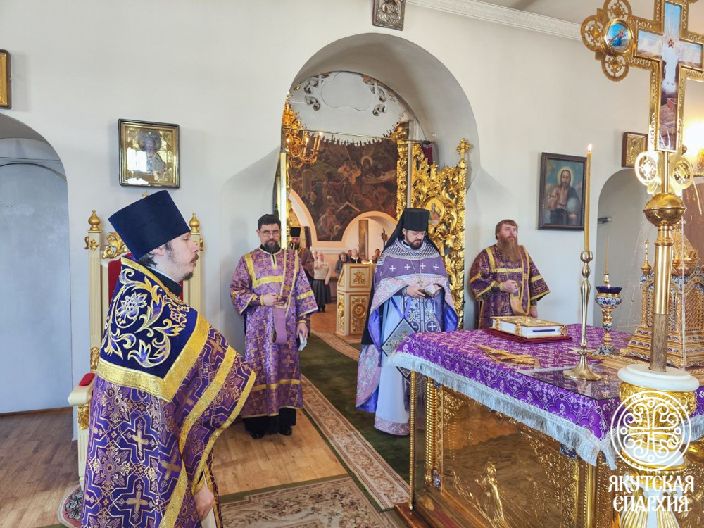 photo_2026-03-29_12-53-20