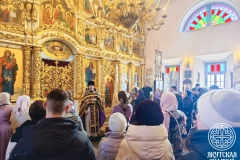 photo_2026-03-29_12-53-14 (2)