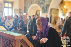 photo_2026-03-29_12-53-15