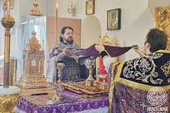 photo_2026-03-29_12-53-16 (3)