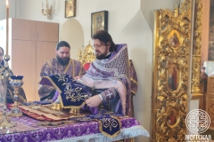 photo_2026-03-29_12-53-17