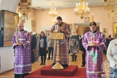 photo_2026-03-29_12-53-18 (3)