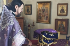 photo_2026-03-29_12-53-18