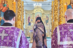 photo_2026-03-29_12-53-19 (3)