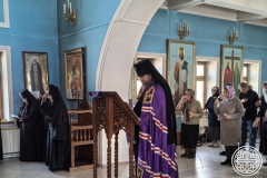 IMG_20250303_170301_edit_531401336757974