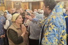 Compress_20251103_172055_5004