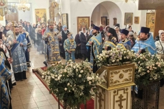 Compress_20251103_172057_7740