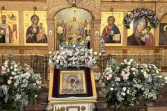 Compress_20251103_172058_8315