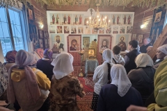 photo_2026-01-31_14-41-38