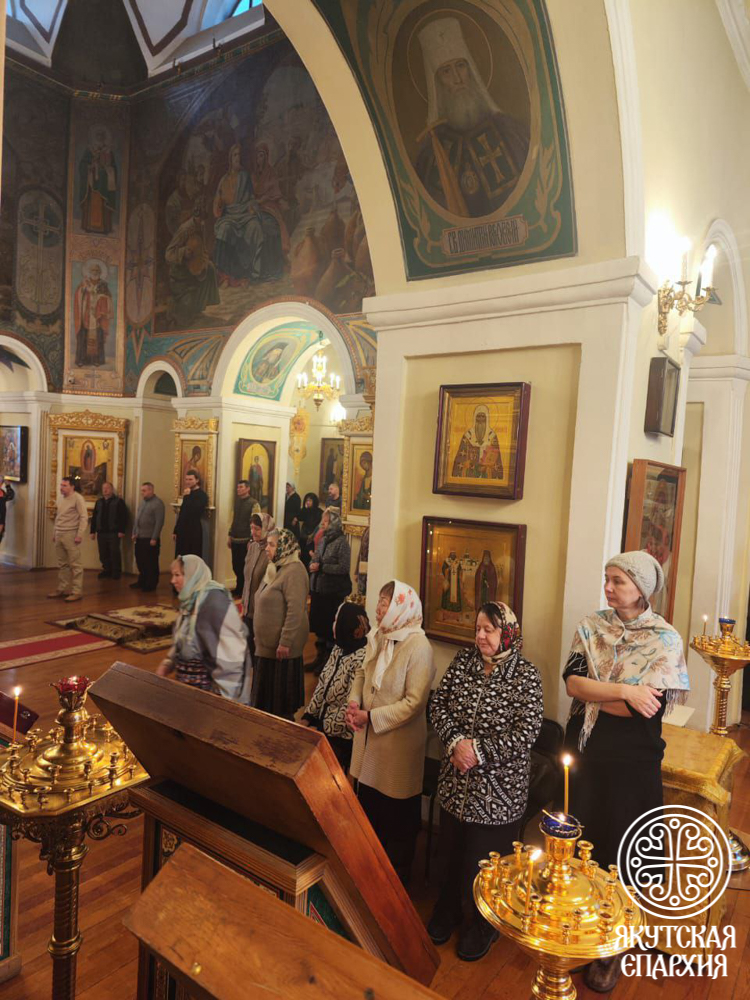 photo_2025-12-06_19-32-12