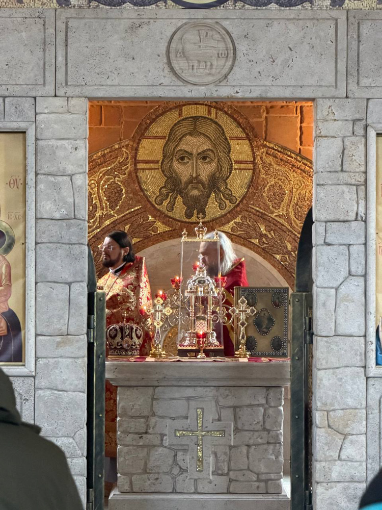 photo_2026-02-08_16-48-18