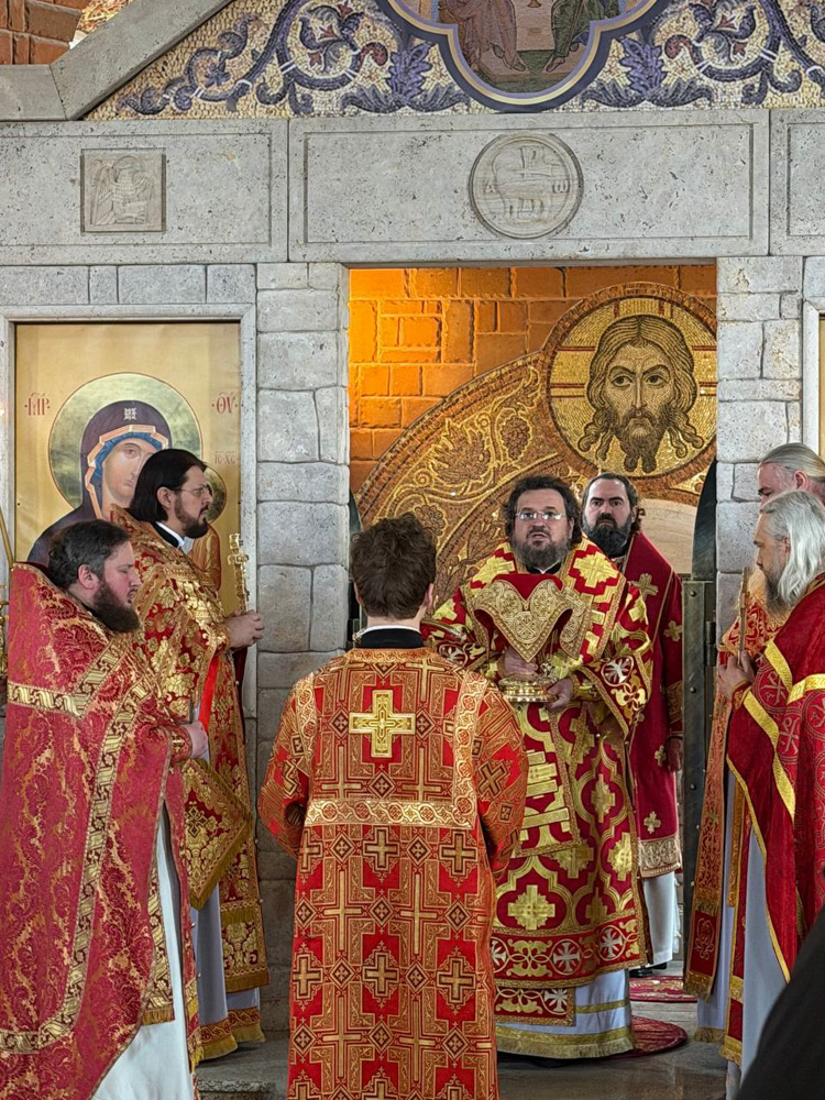 photo_2026-02-08_16-50-56