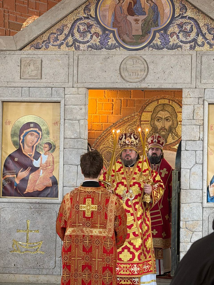 photo_2026-02-08_16-54-34