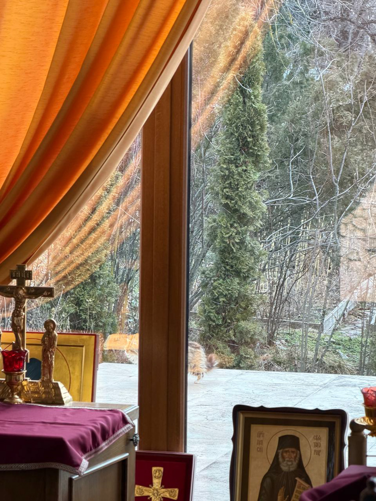 photo_2026-02-09_03-44-23