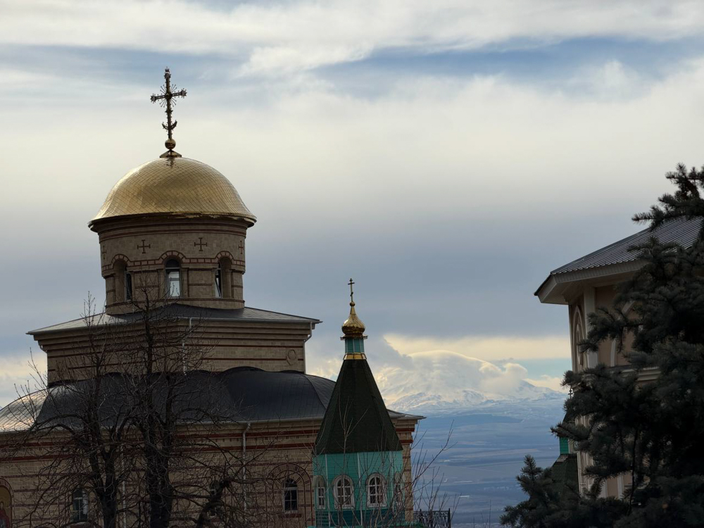 photo_2026-02-09_03-44-36