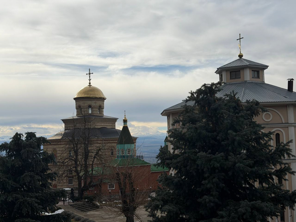 photo_2026-02-09_03-44-49