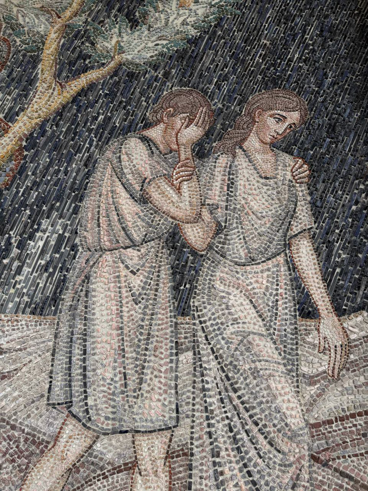 photo_2026-02-09_03-46-30