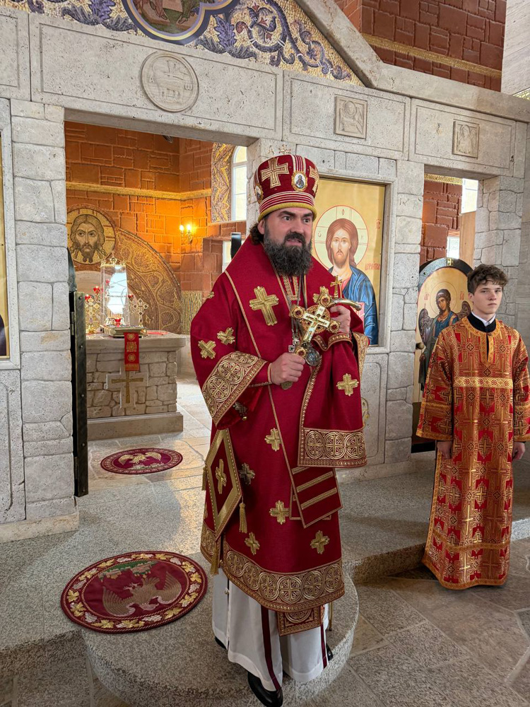 photo_2026-02-09_03-48-26