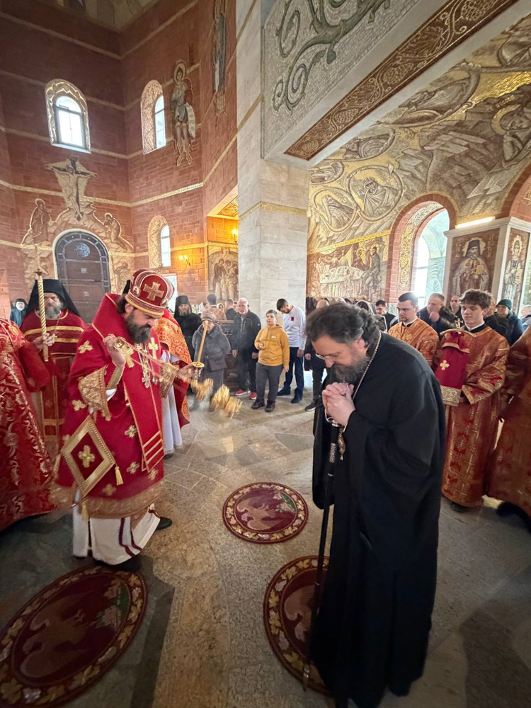 photo_2026-02-09_03-51-44