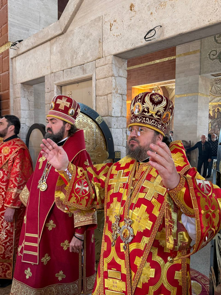 photo_2026-02-09_03-52-16