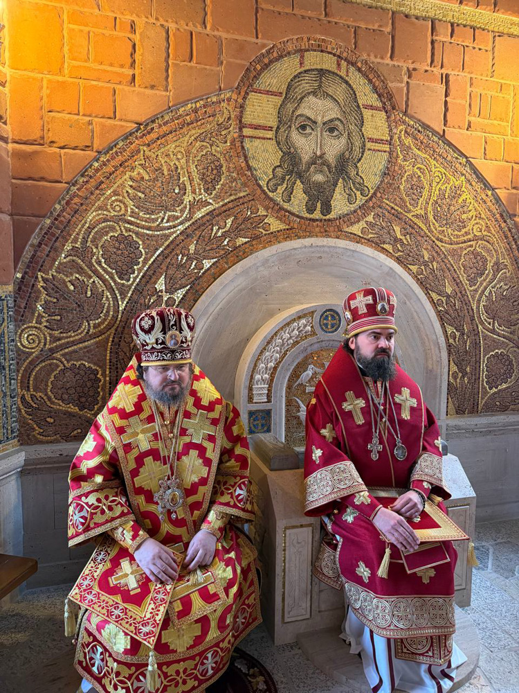 photo_2026-02-09_03-53-02