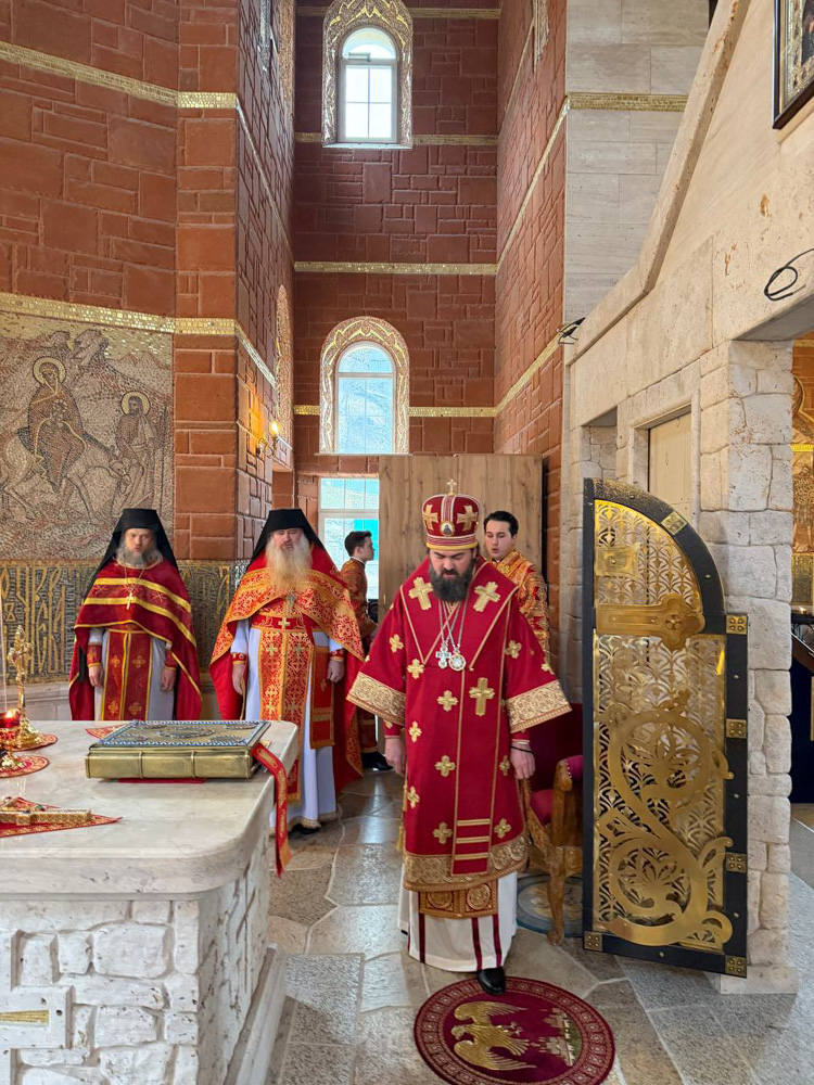 photo_2026-02-09_03-53-37