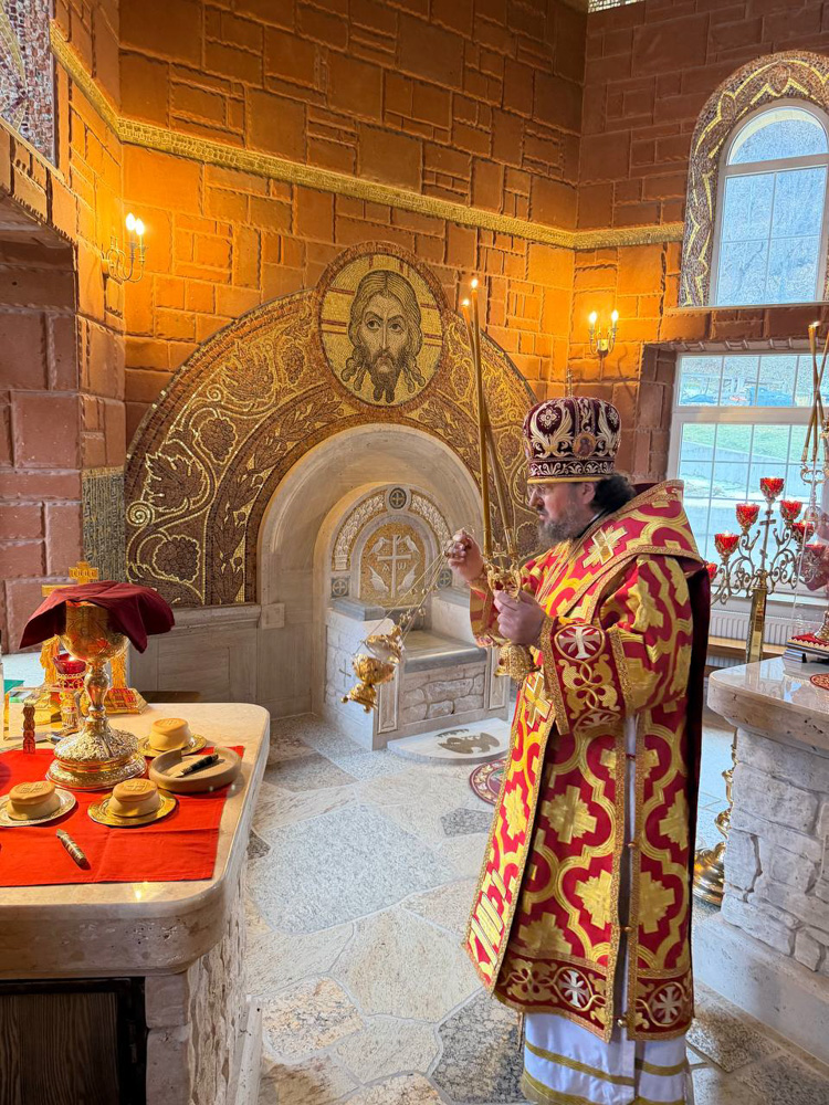 photo_2026-02-09_03-53-49