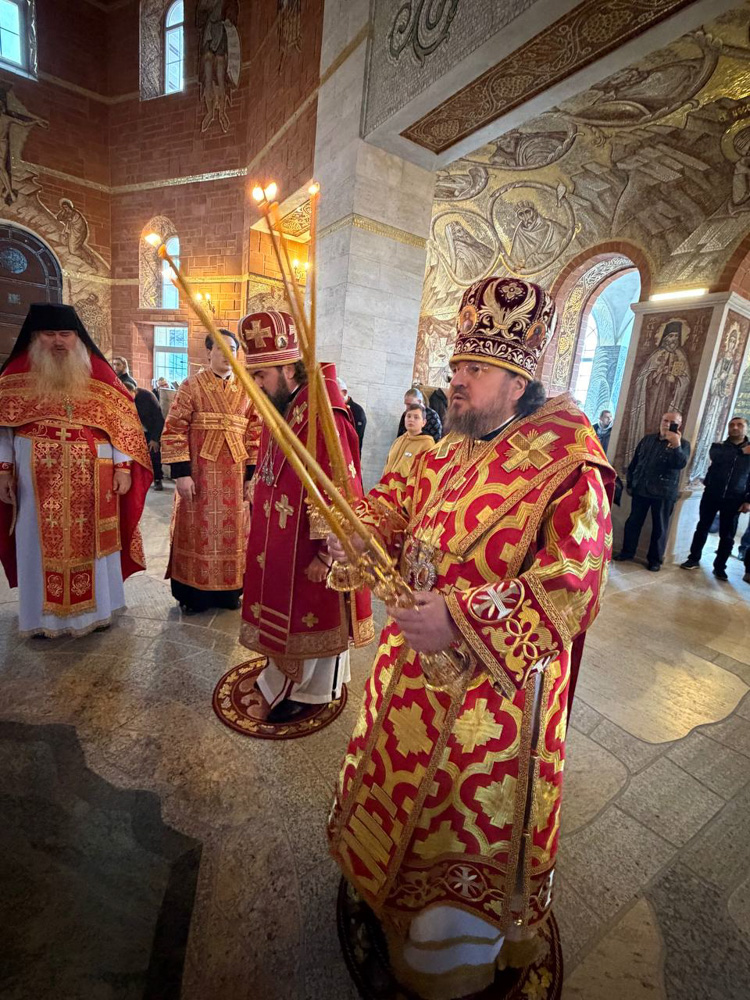 photo_2026-02-09_03-55-16