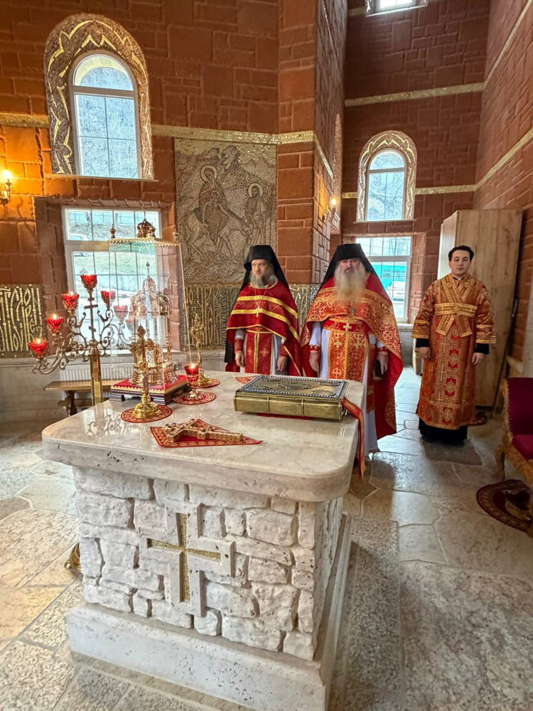 photo_2026-02-09_03-56-12