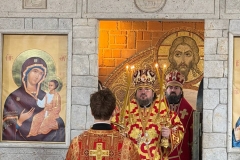 photo_2026-02-08_16-54-34