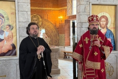 photo_2026-02-09_03-49-18