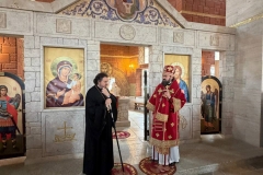 photo_2026-02-09_03-49-54