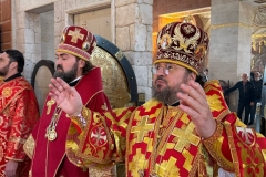 photo_2026-02-09_03-52-16