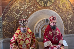 photo_2026-02-09_03-53-02