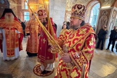 photo_2026-02-09_03-55-16