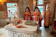 photo_2026-02-09_03-56-12