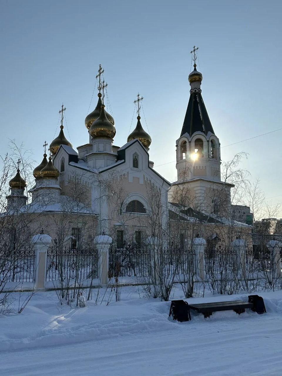 photo_2026-03-08_18-55-53