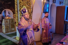 photo_2026-03-08_18-55-35