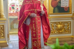 photo_2025-02-09_16-26-01