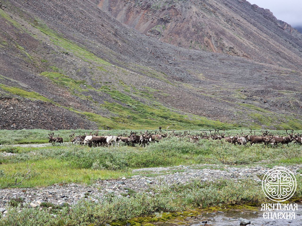 photo_2025-08-21_11-31-39 (2)