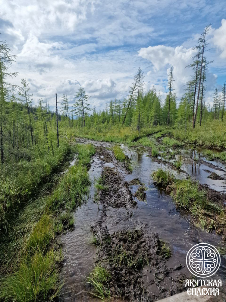 photo_2025-08-21_11-38-46 (2)