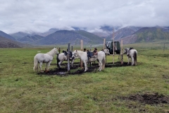 photo_2025-08-21_11-21-31 (3)