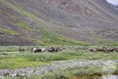 photo_2025-08-21_11-31-39 (2)