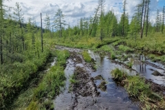 photo_2025-08-21_11-38-46 (2)