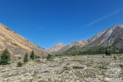 photo_2025-08-21_11-43-26